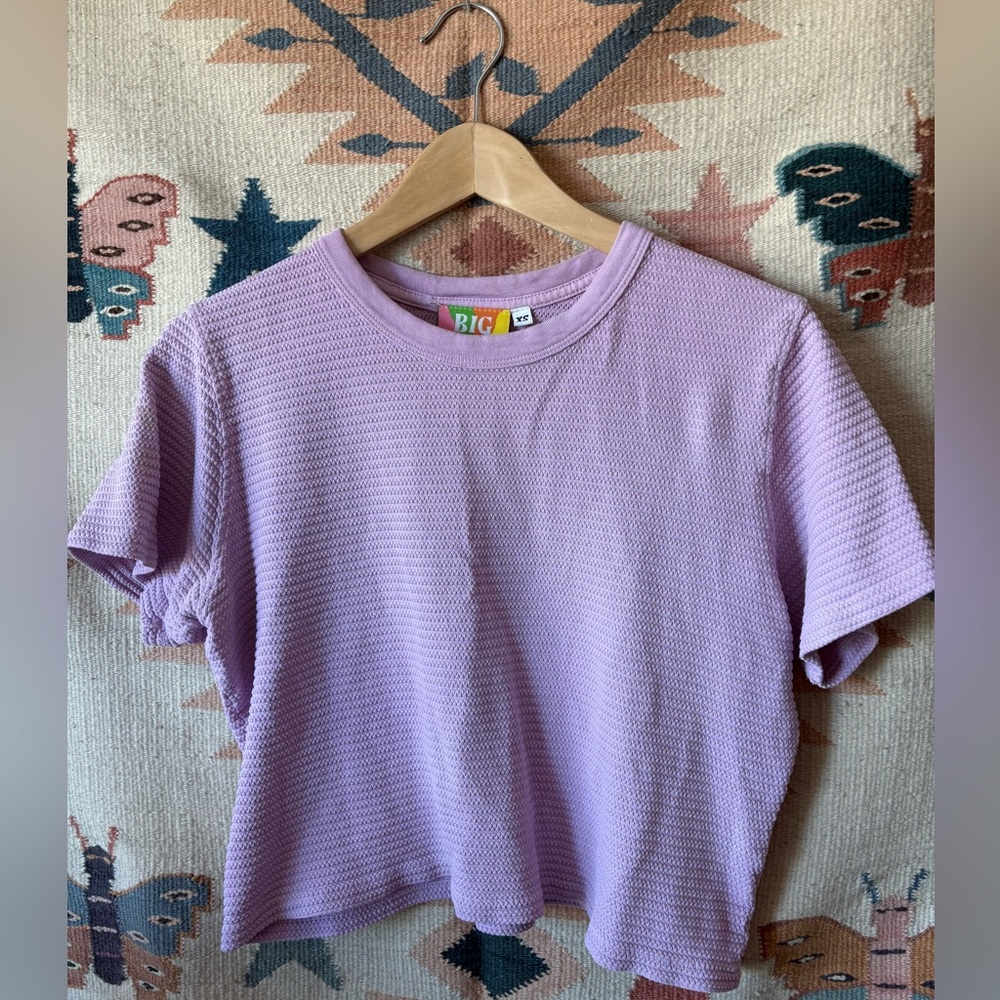 Big Bud Press Purple Ribbed Crop T-Shirt